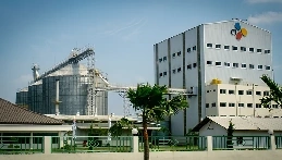 animal feed pellet production process in home page 1