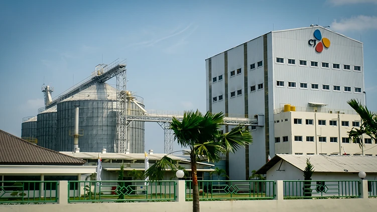 animal feed pellet production process in home page