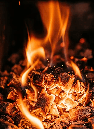biomass feed pellet in home page
