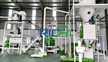 cases of shrimp feed plant in Algeria