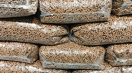 formed biomass pellet in Argentina case