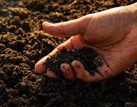 formed organic fertilizer in brief introduction