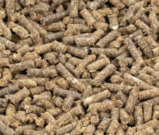 formed pellet from pellet production line