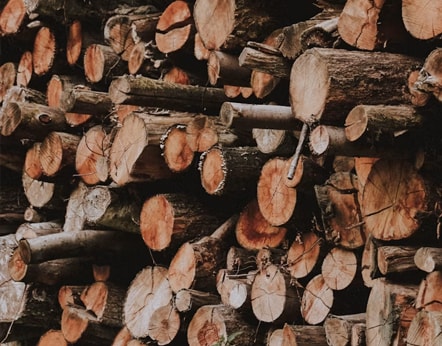 wood raw materials in brief introduction