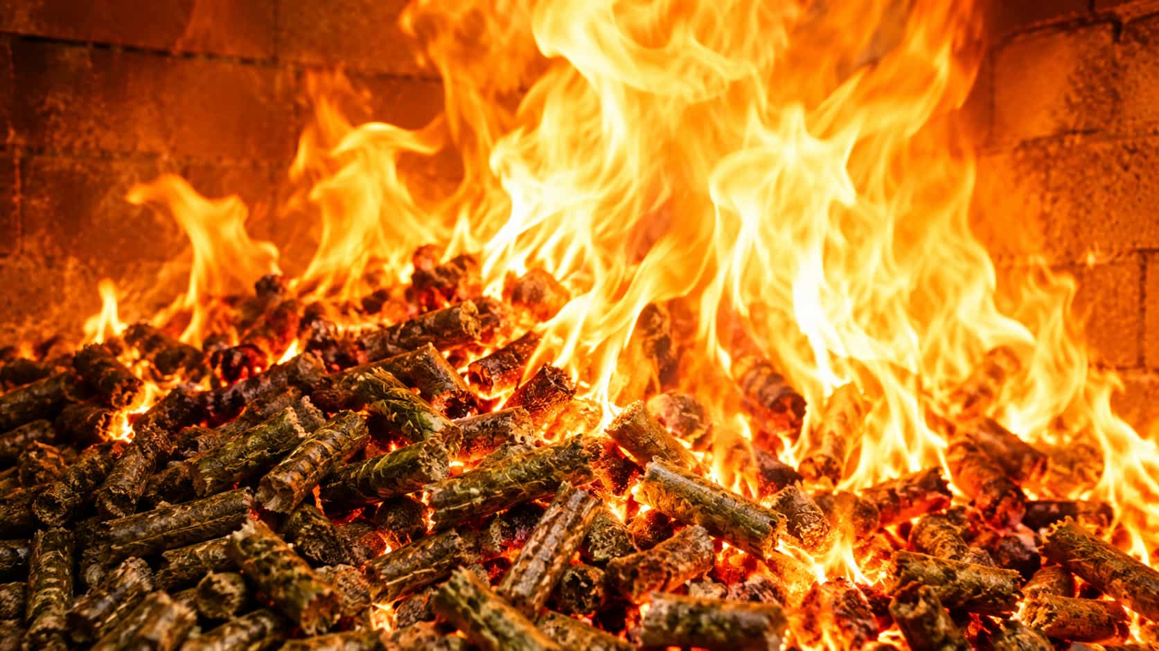 applications of alfalfa pellet mill for clean energy source
