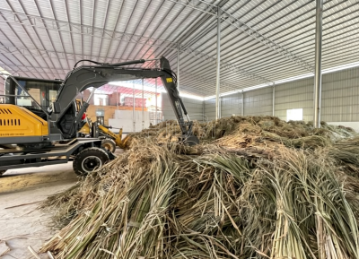 cases pf biomass pellet in cases study page in Thailand