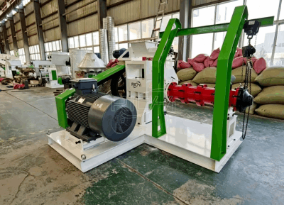 cases of soya extruder page in Senegal